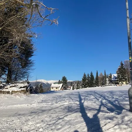 138 Проживание в семье