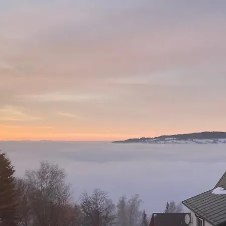 138 Проживание в семье Бенецко